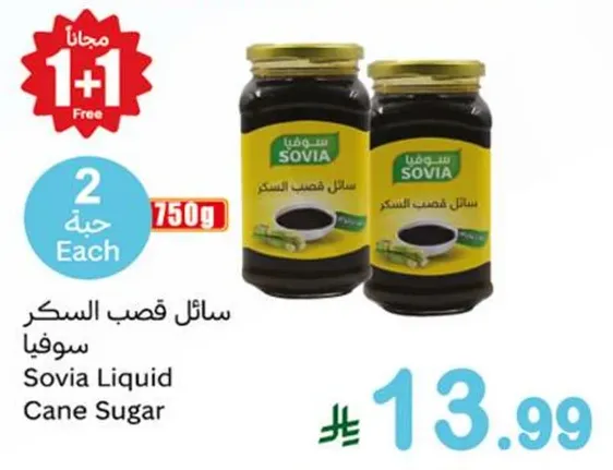 سايل قصب السكر سوفيا