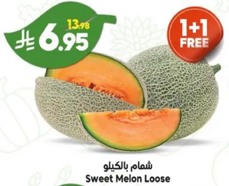 شمام بالكيلو