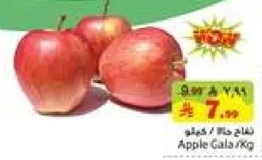 تفاح جالا / كيلو
