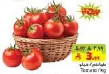 طماطم
