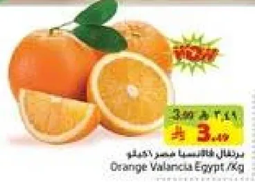 برتقال فالنسيا مصر / كجم