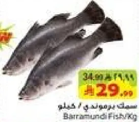 سمك بريموندي