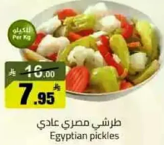 طرشي مصري عادي