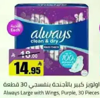 اولويز كبير بالاجنحه بنفسجي 30 قطعه