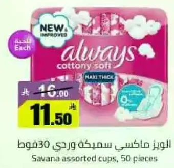 ماكسي سميكه من اولويز، اكواب متنوعه سافانا، 50 قطعه.