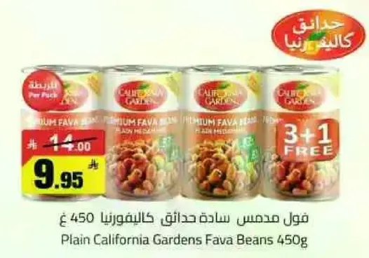 فول مدمس ساده حدايق كاليفورنيا