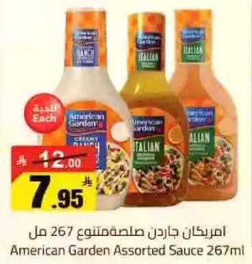امريكان جاردن صلصه متنوعه 267 مل