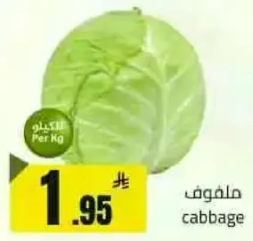 ملفوف