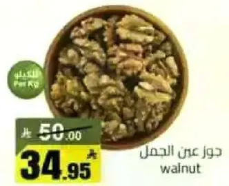 جوز عن الجمل