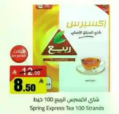 شاي اكسبرس الربيع 100 خط