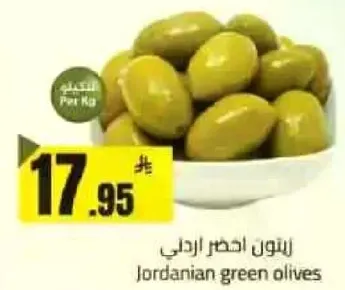 زيتون اخضر اردني