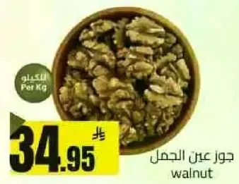 جوز عن الجمل