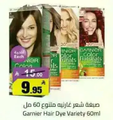 صبغه شعر غارنيه متنوعه 60 مل