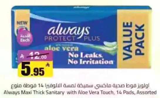 اويلز فوط صحيه ماكسي سميكه لمسه الالوفيرا 14 قطعه