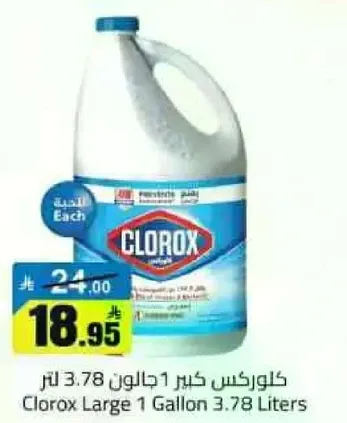 كلوركس كبير 1 جالون 3.78 لتر