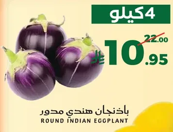 باذنجان هندي مدور