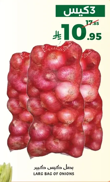 بطل كيس كبير