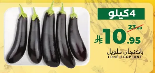 باذنجان طويل