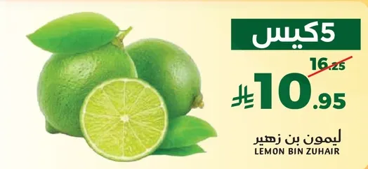 ليمون بن زهير