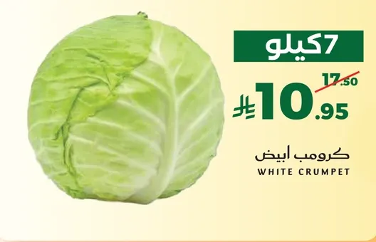 7 كيلو من الكرنب الابيض.