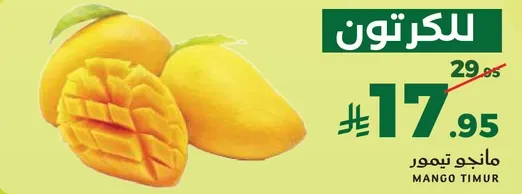 مانجو تيمور