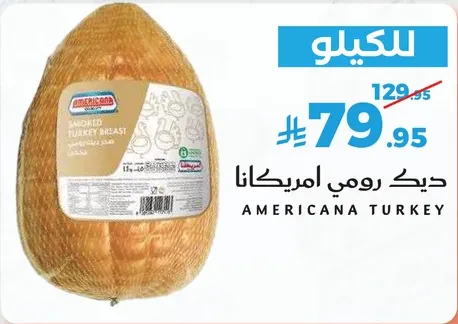 ديك رومي امريكانا