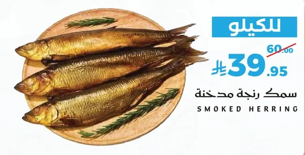 سمك رنجه مدخنه