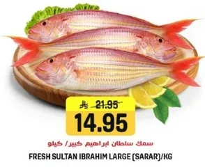 سمك سلطان ابراهيم كبير/كيلو