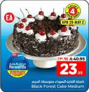 كيكه الغابه السوداء متوسطه الحجم