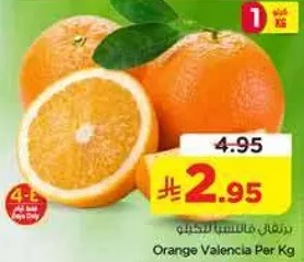 برتقال فالنسيا لكل كيلو
