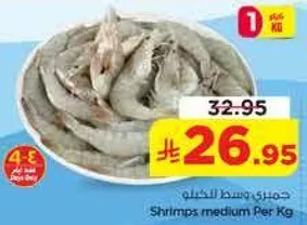 جمبري وسط الخيل