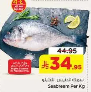 سمك الدنيس للكيلو