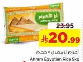 اهرام ارز مصري 5 كجم