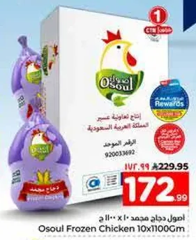 اصوال دجاج مجمد 10×1100غ