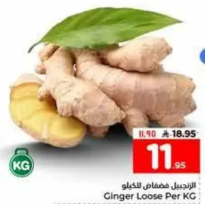 الزنجبيل فضفاض الكيلو