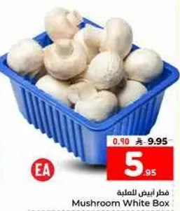 فطر ابيض للمعله