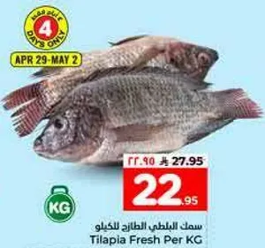 سمك البلطي الطازج للكيلو