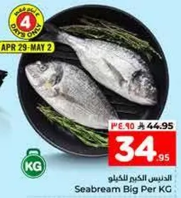 Seabream Big Per KG