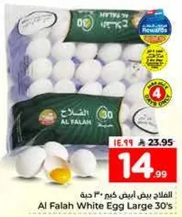 الفلاح بيض ابيض كبير 30 حبه