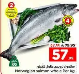 سالمون نرويجي كامل للكilo