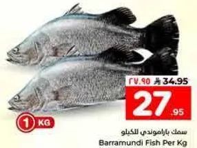 سمك باراموندي للكغو