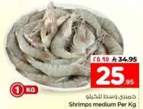 جمبري وسط للخليج