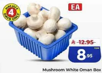 صندوق فطر ابيض عمان