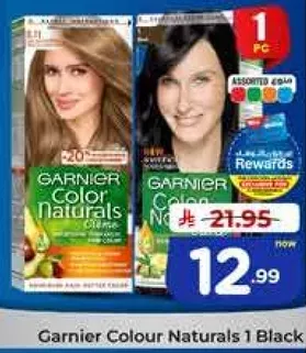 غارنييه كولور ناتشورال 1 اسود