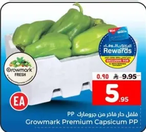 فلفل حار فاخره من جرومارك PP