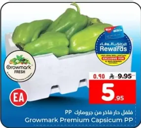فلفل حار فاخره من جروماك PP