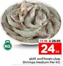 روبيان متوسط الحجم للكيلو