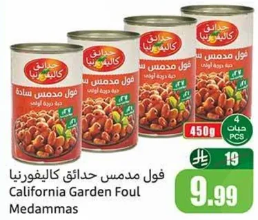 فول مدمس حديقه كاليفورنيا