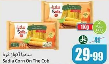 ساديا اكواز ذره