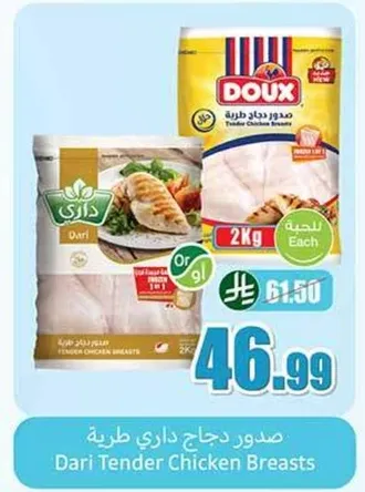 صدور دجاج داري طريه